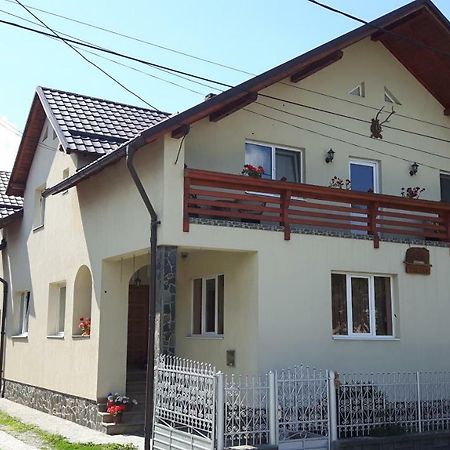 Pensiunea Casa Șteț Toader Iulian Săpînţa Exterior foto