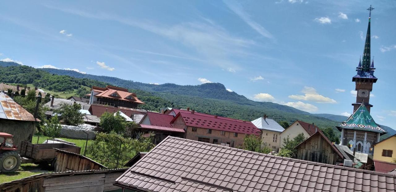 Pensiunea Casa Șteț Toader Iulian Săpînţa Exterior foto